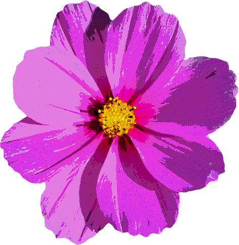 Illustration of a Flower